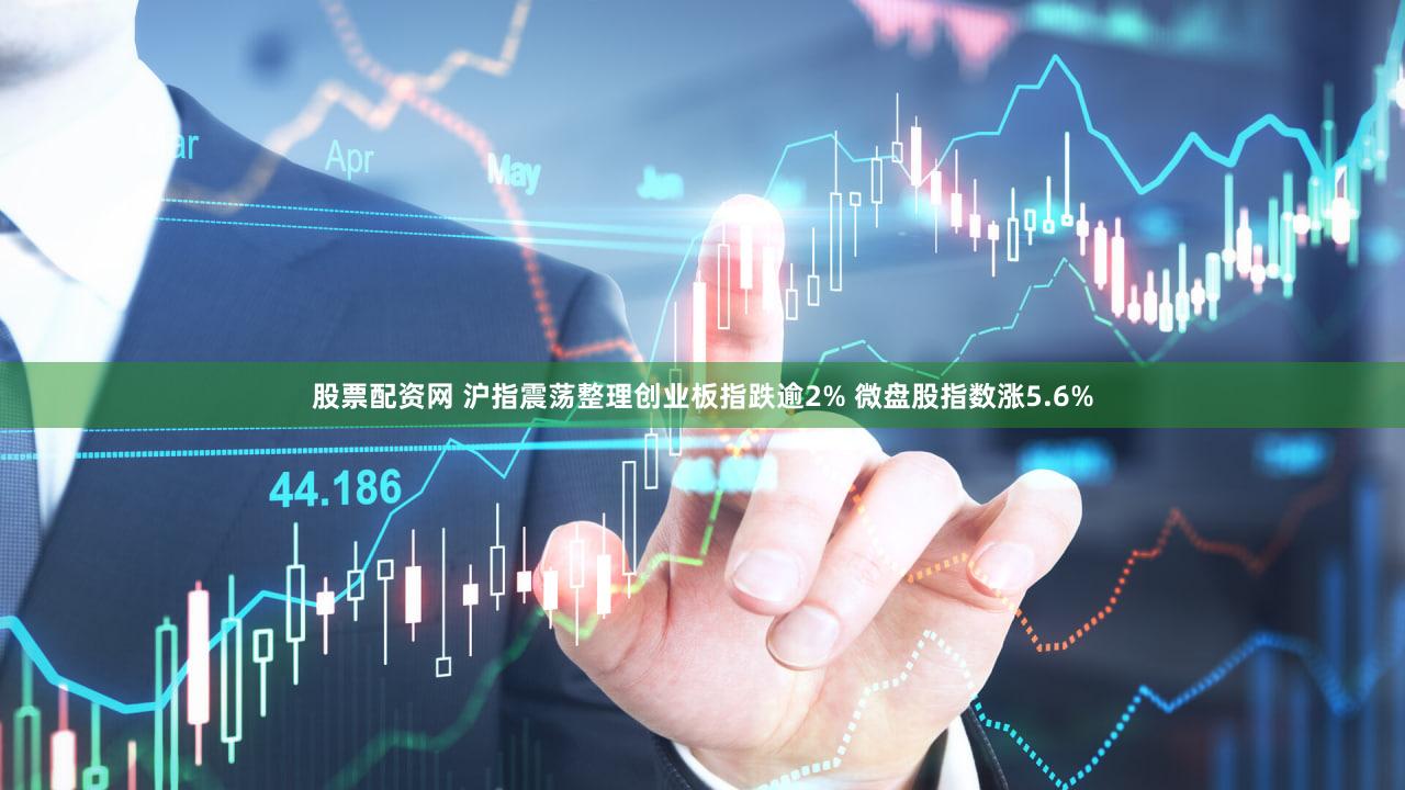 股票配资网 沪指震荡整理创业板指跌逾2% 微盘股指数涨5.6%