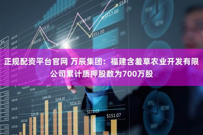 正规配资平台官网 万辰集团：福建含羞草农业开发有限公司累计质押股数为700万股