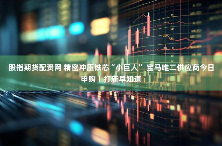股指期货配资网 精密冲压铁芯“小巨人” 宝马唯二供应商今日申购丨打新早知道