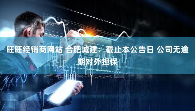 旺旺经销商网站 合肥城建：截止本公告日 公司无逾期对外担保