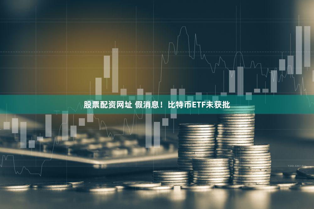 股票配资网址 假消息!比特币ETF未获批