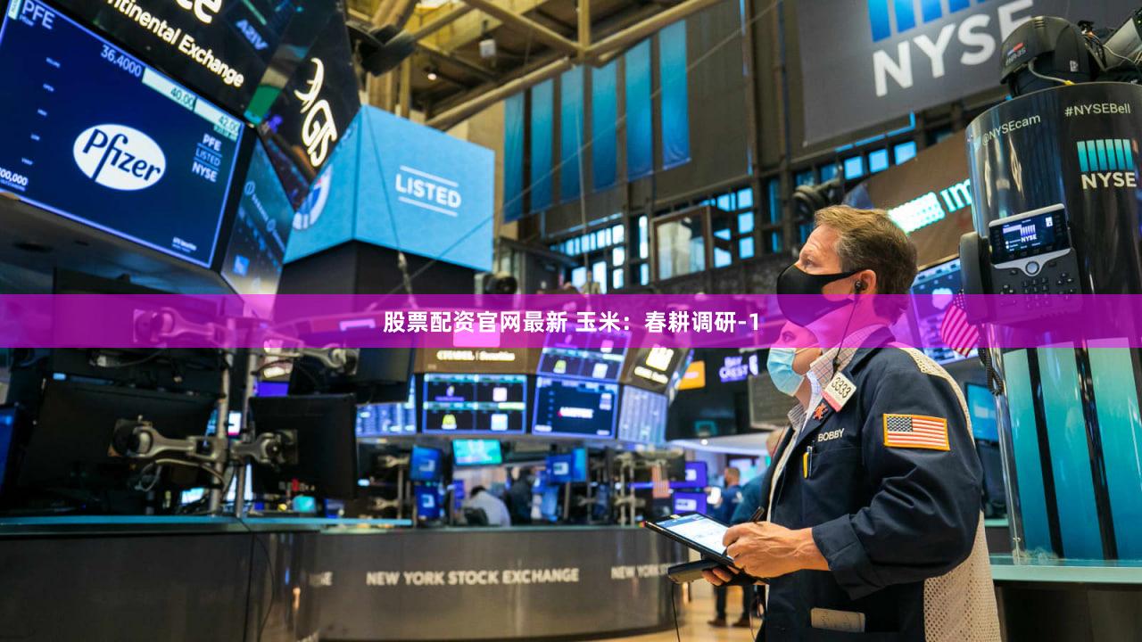 股票配资官网最新 玉米:春耕调研-1