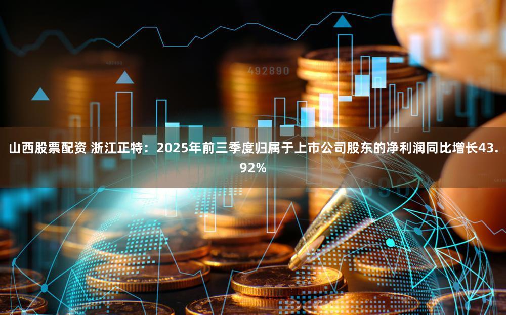 山西股票配资 浙江正特：2025年前三季度归属于上市公司股东的净利润同比增长43.92%