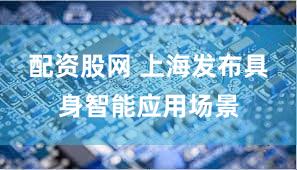 配资股网 上海发布具身智能应用场景