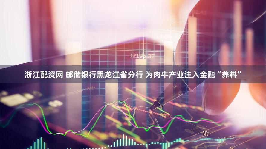 浙江配资网 邮储银行黑龙江省分行 为肉牛产业注入金融“养料”