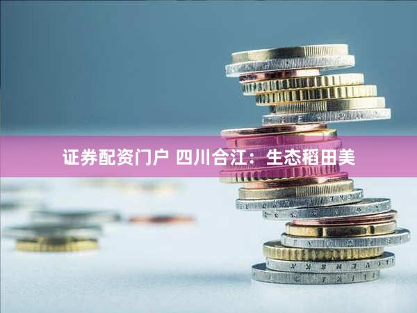 证券配资门户 四川合江：生态稻田美