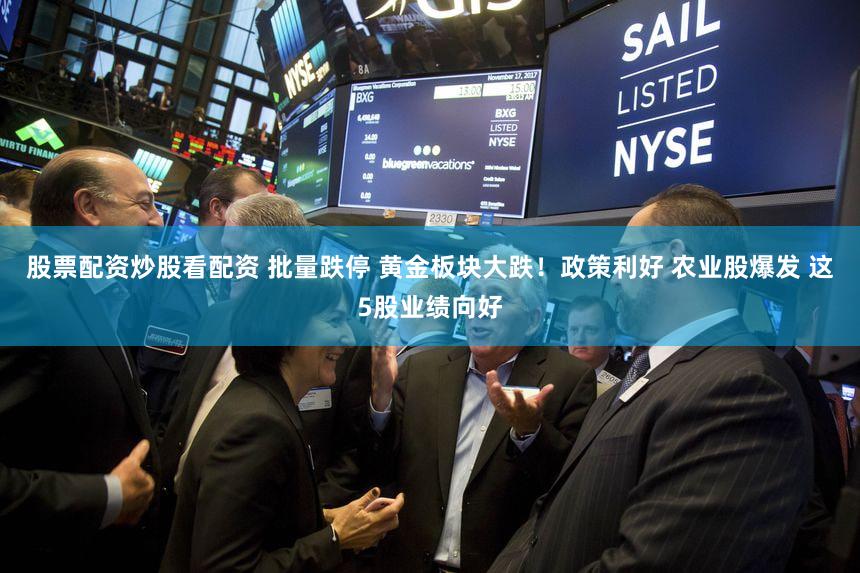 股票配资炒股看配资 批量跌停 黄金板块大跌!政策利好 农业股爆发 这5股业绩向好