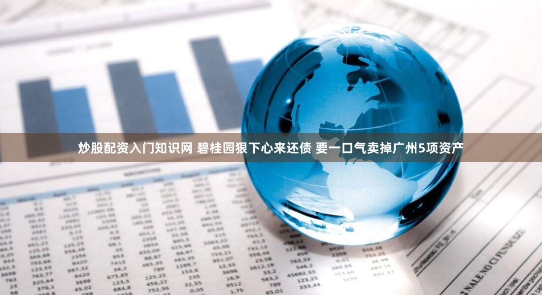 炒股配资入门知识网 碧桂园狠下心来还债 要一口气卖掉广州5项资产